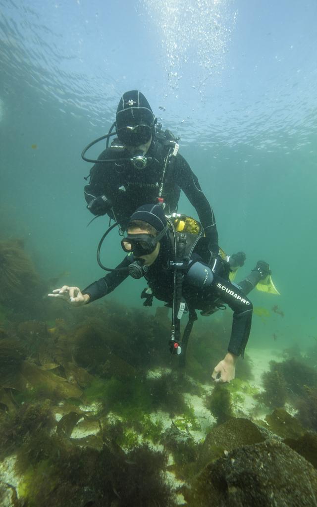 Nature île Photogénique, Océan, Plages, Belle île En Mer, île De Bretagne, Bretagne Sud, Au Large Du Golfe Du Morbihan