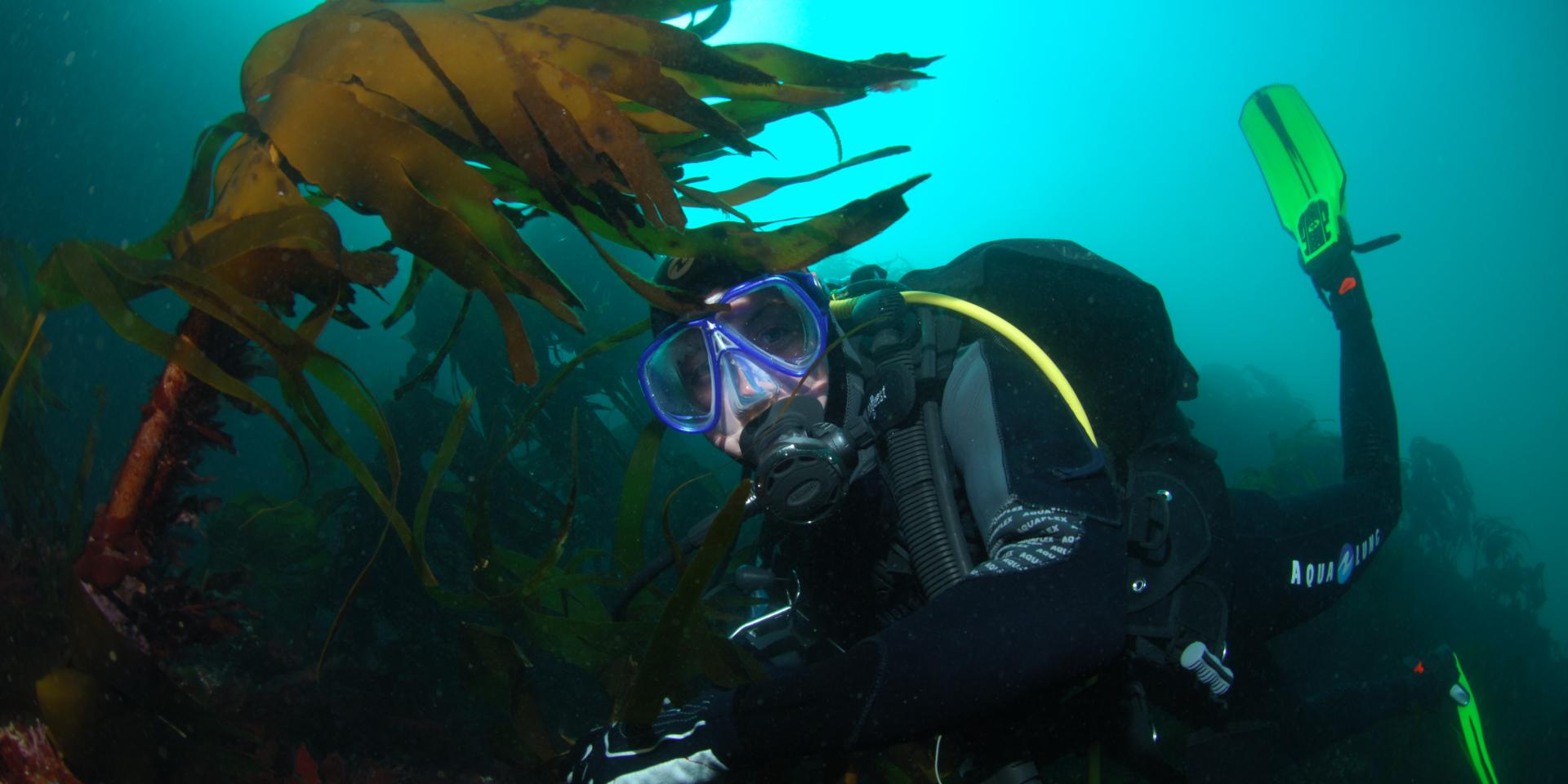 Nature île Photogénique, Océan, Plages, Belle île En Mer, île De Bretagne, Bretagne Sud, Au Large Du Golfe Du Morbihan