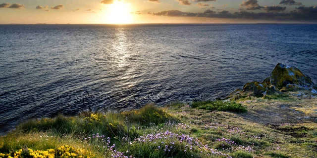 La Pointe Capteur Dimages David Giard 2024 2031 Resized