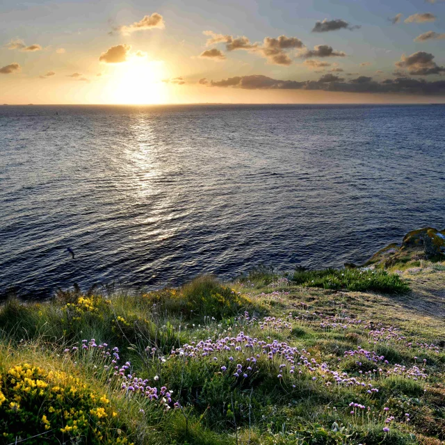 La Pointe Capteur Dimages David Giard 2024 2031 Redimensionnee