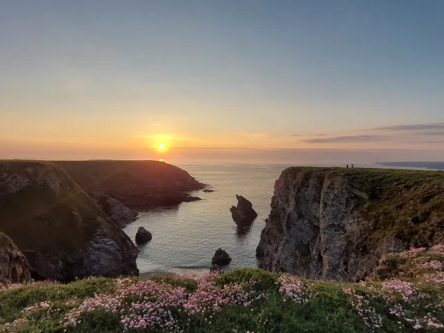 Trou De Vazen 5 Otbi