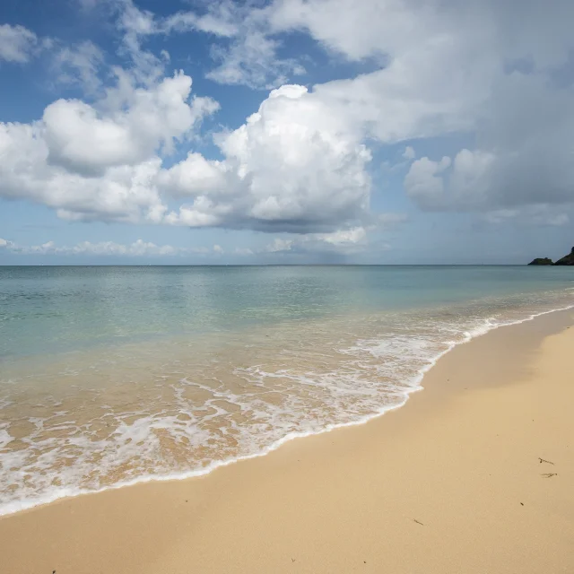 Bordardoue Philippe Dannic 23 28