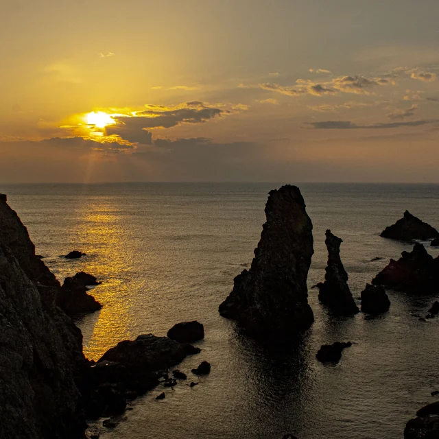 Coucher De Soleil Pcoton Tjousselin Otbi