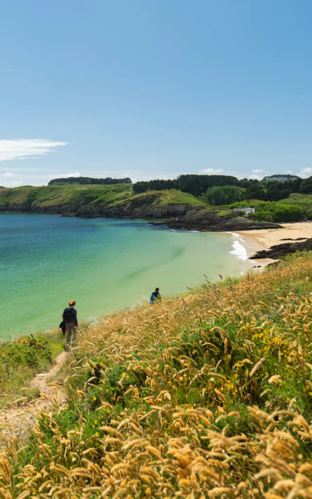 295 Belle Ile En Mer 2024 Bd