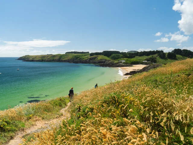 295 Belle Ile En Mer 2024 Bd