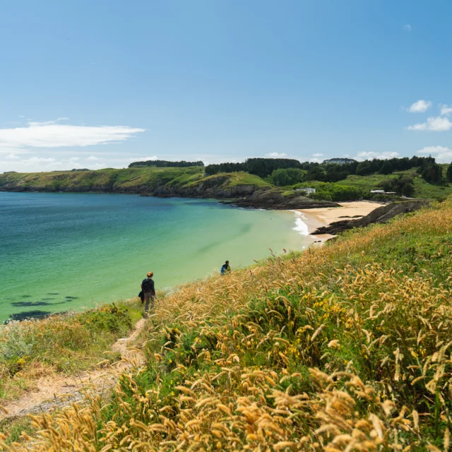 295 Belle Ile En Mer 2024 Bd