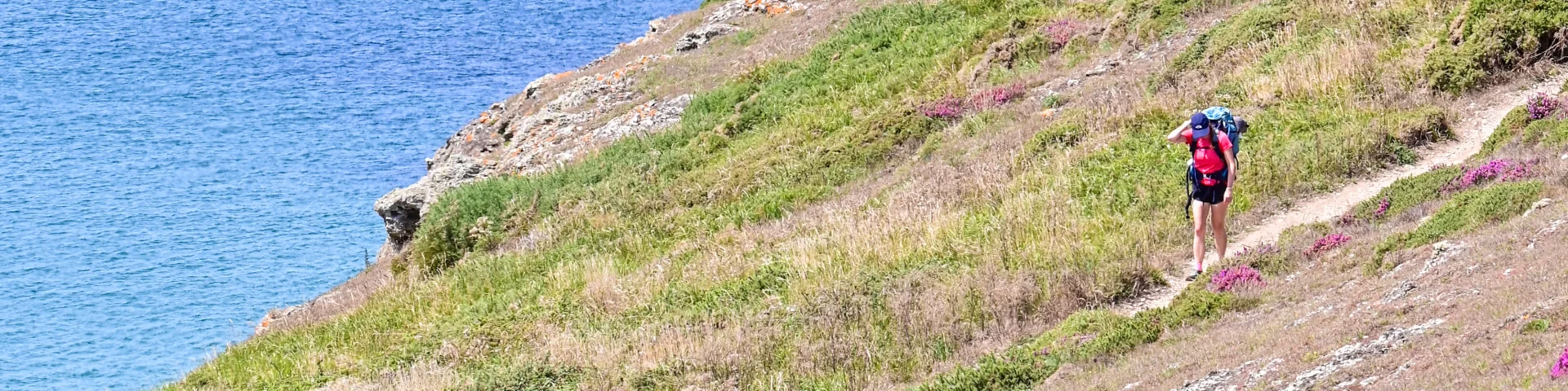 Randonee Dans La Flore De La Cote Adt Morbihan Ldd