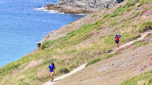 Randonee Dans La Flore De La Cote Adt Morbihan Ldd
