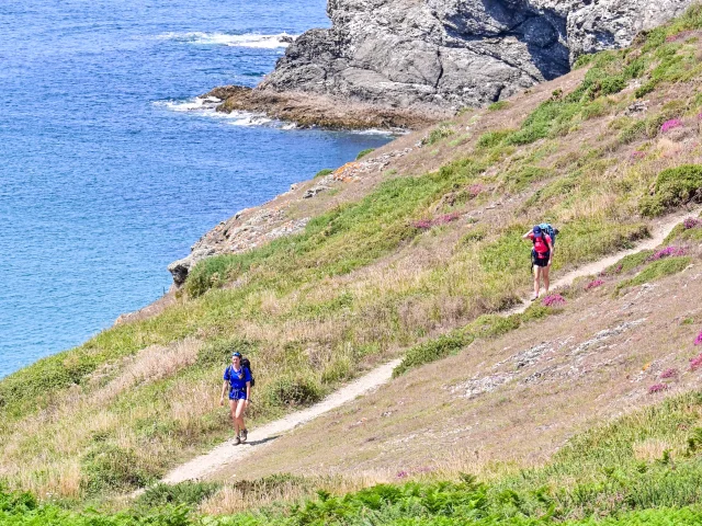 Randonee Dans La Flore De La Cote Adt Morbihan Ldd