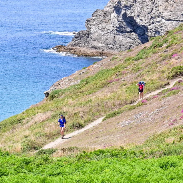 Randonee Dans La Flore De La Cote Adt Morbihan Ldd