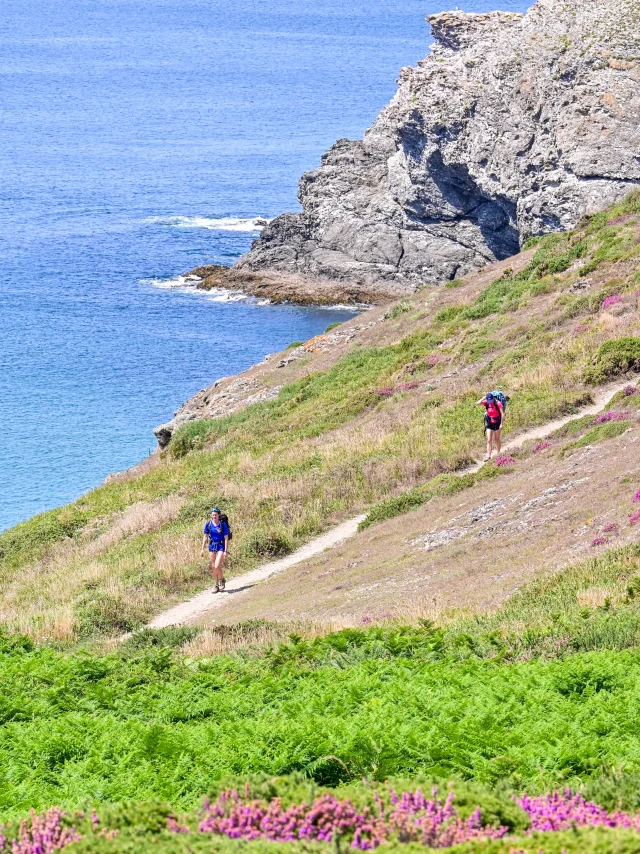 Hiking In The Flora Of The Coast Adt Morbihan Ldd