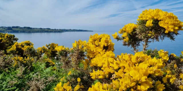 Plan De Landes Benoit Lucas 2024 2029