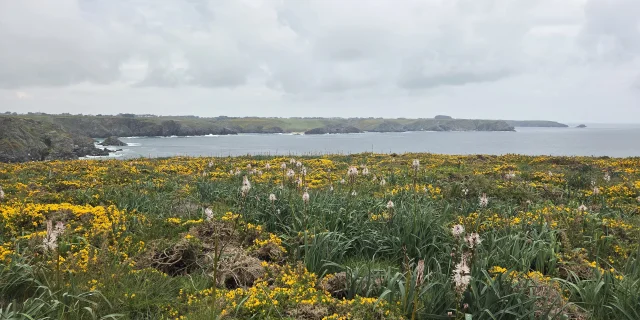 Vue Sur La Cote Sauvage Otbi 1