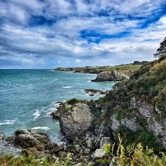 Instagram #belleileenmer