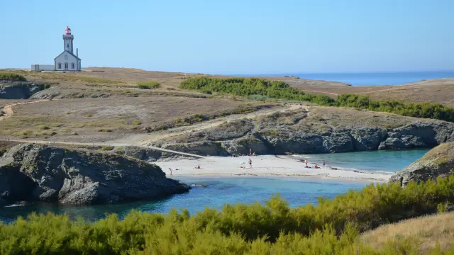 Les Poulains F.sabatier Atb Crtb Ldd 24