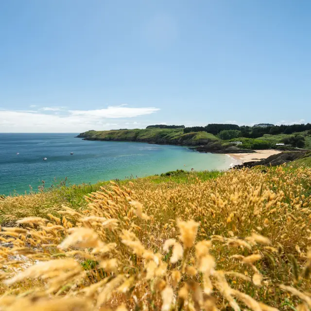 Port Andro Fleuri Thibault Poriel 2025 2030 1